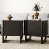 Mid Century Modern 2-Drawer Solid Wood Nightstand Black (Set of 2)